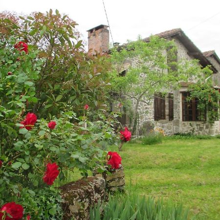 Joli Bois Bed & Breakfast Montrollet Екстериор снимка